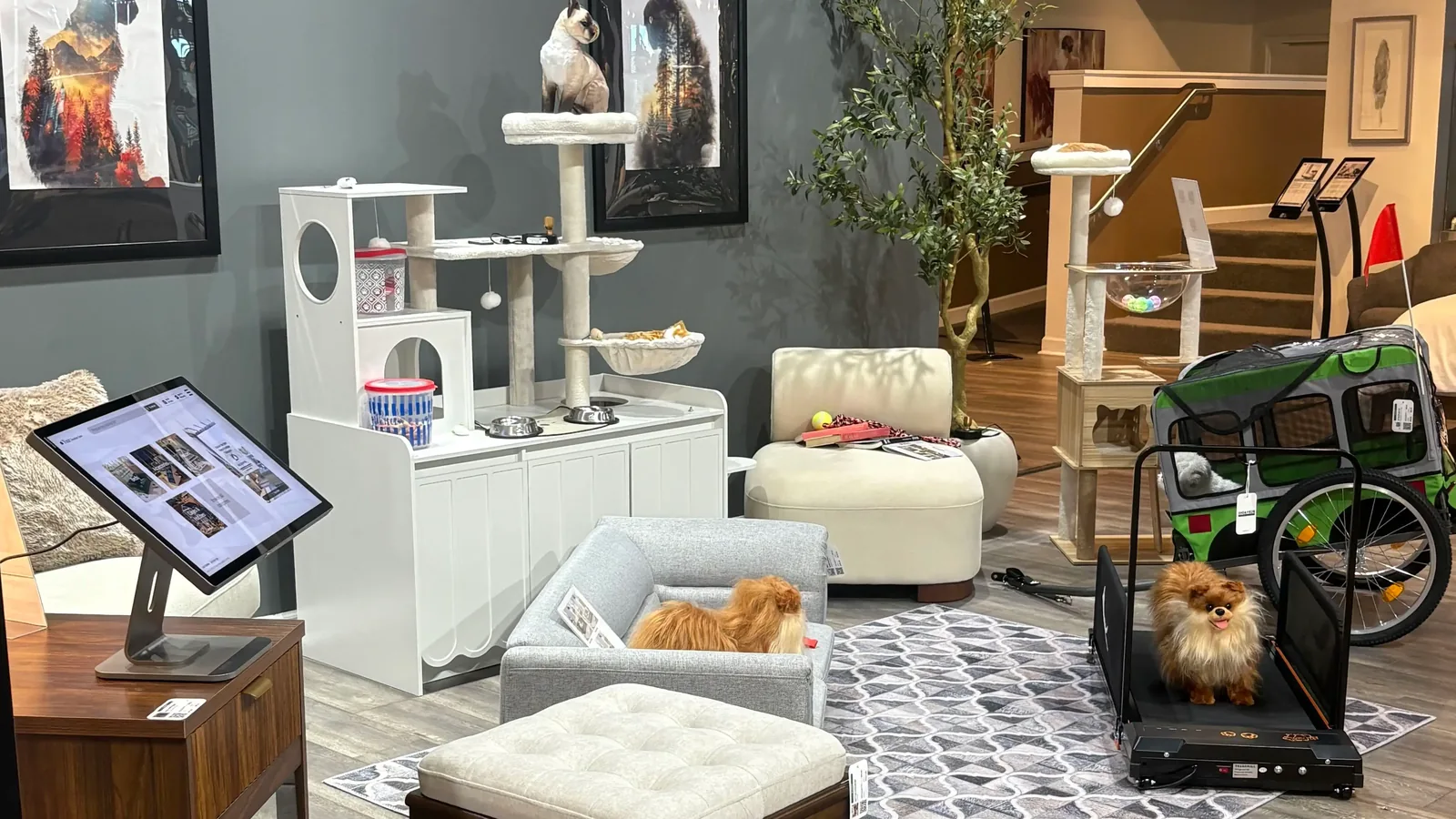 Showroom display to sell pet furniture, with a Wonder kiosk, white cat tree cabinet, gray pet sofa, and pet treadmill